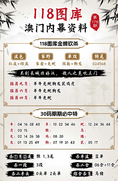 澳门管家婆100%精准,详细解答、解释与落实