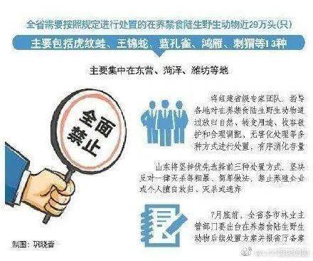 2025新澳精准免费大全;警惕虚假宣传-精选解析解释落实